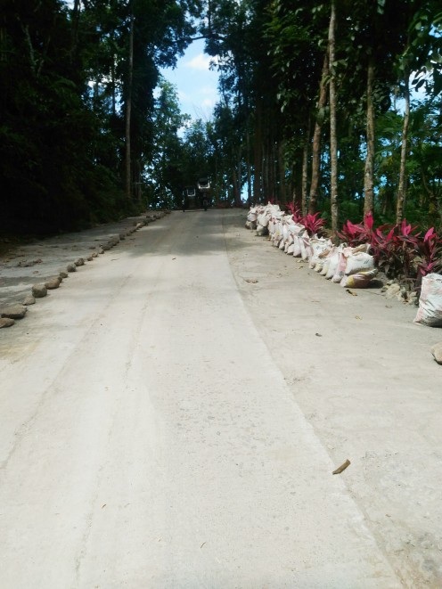 Road down to the resort